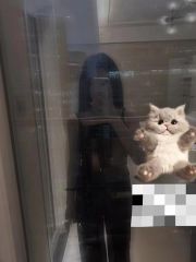 银川性价比很高的长腿妹妹小宝